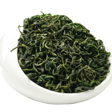 Good quality fragrant roll  green tea